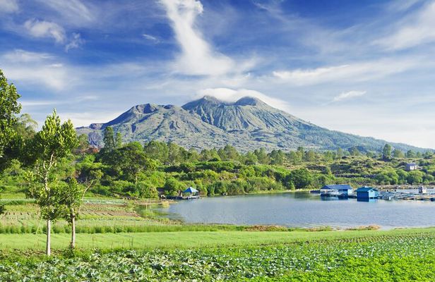 Bali: All Inclusive in Kintamani Private Tour