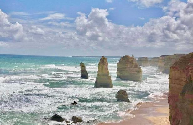 Small group Great Ocean Road Reverse & Wildlife spotting