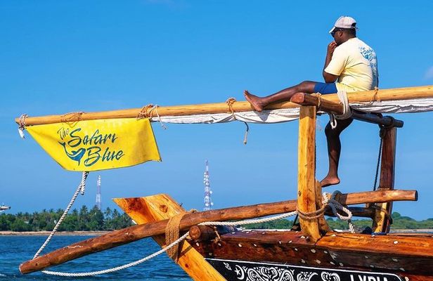 Safari Blue Private Full-Day Tour