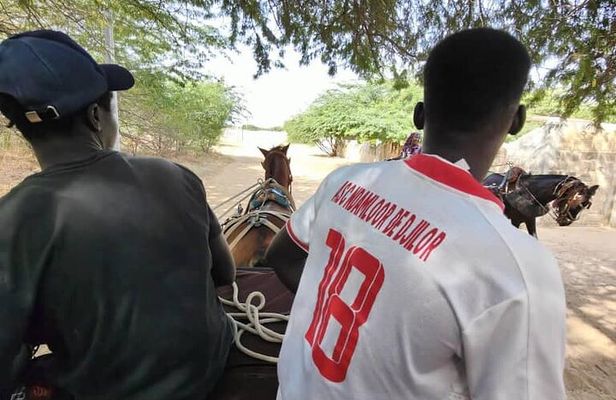 Private and Guided Excursion to the Kingdom of Sine and Saloum