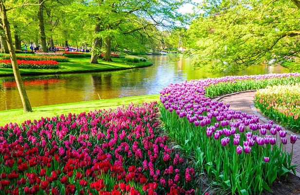 Private Tour Tulip Gardens (Keukenhof) and Dutch highlights