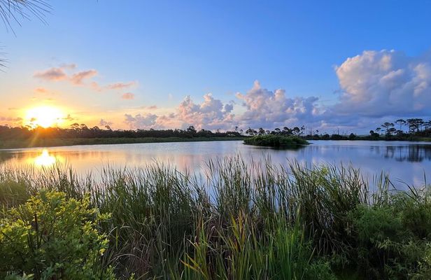 State Park E-Bike Tour: Alligators, Pier, & More [SELF-GUIDED]