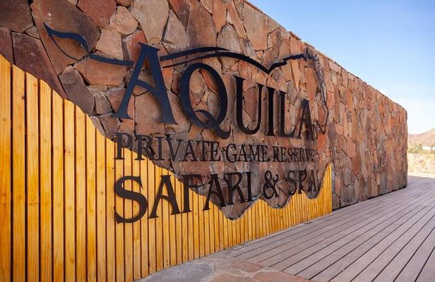 Aquila Safari Game Drive Lunch & Transfers from Cape Town