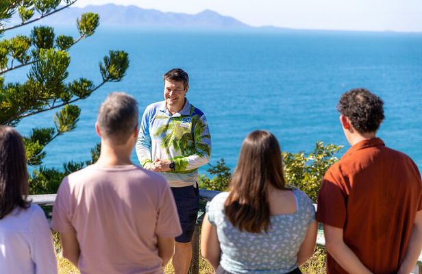 Magnetic Island Tour Behind the Scenes