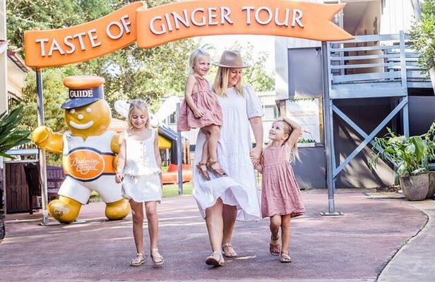 Ginger Factory and Nutworks Return Bus Transfer: Sunshine Coast