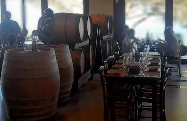 Private One Day Tour to Taormina and Mount Etna 