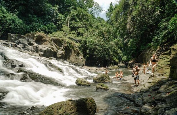 Half Day Ubud Waterfall Tour