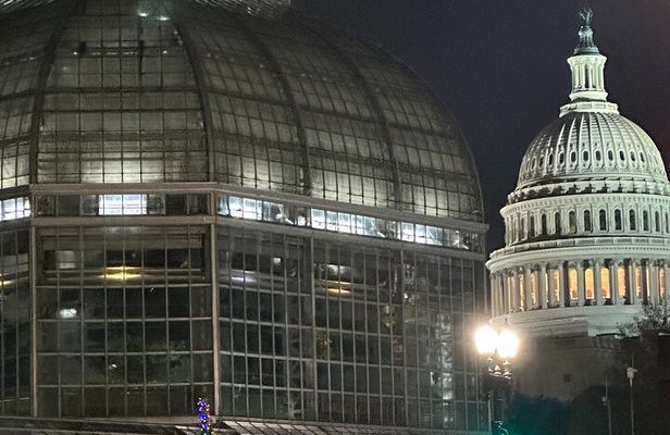 Private Night-Time Tour of Washington DC | DC After Dark™