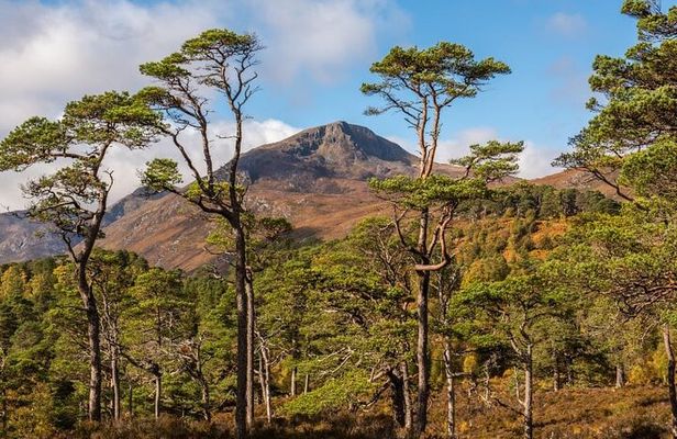 Meandering Through The Highlands of Scotland (West)