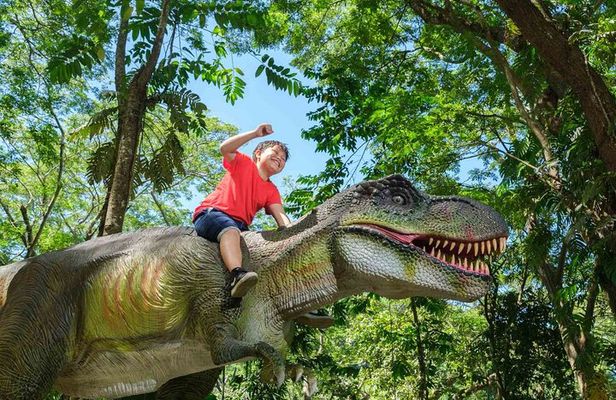6 Hours Giant Zipline Adventure Park in Fiji