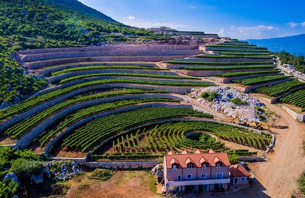 Private Wine Tasting Activity at Lipovac Winery