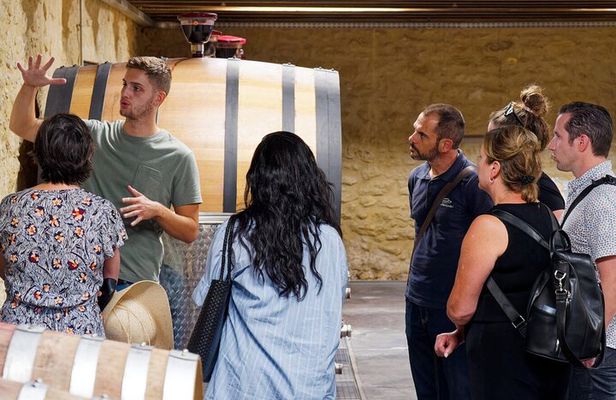 Afternoon Wine Tour to Chateauneuf du Pape from Avignon