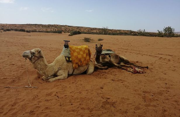 Agadir Desert Tour 4x4 with lunch
