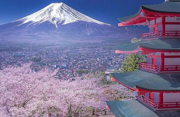 Mt. Fuji & Hakone VIP One Day Tour With Pick-up & Drop-off