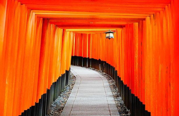 From Osaka-Kyoto: Kyoto and Nara 1Day Bus Tour