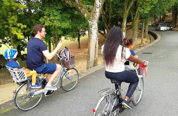 Private Nara E-bike - Family Tour with Lunch