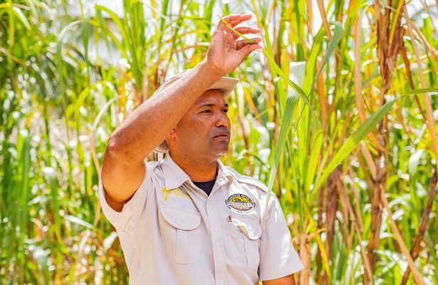 Dominican Countryside Half Day Tour