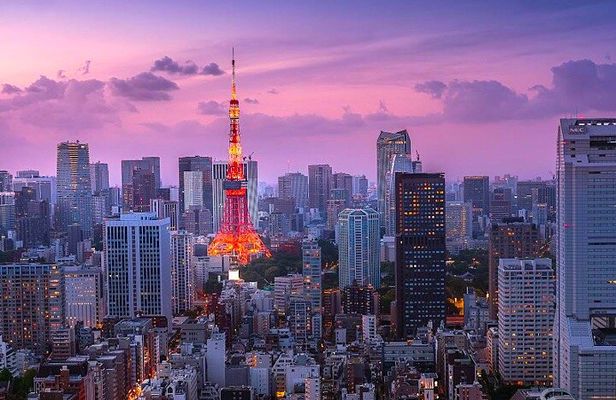 2-Day Private Tokyo MT Fuji Hakone Sightseeing Tour with Guide