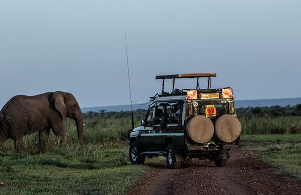 4 Days Safari from Mombasa to Amboseli and Tsavo West and East