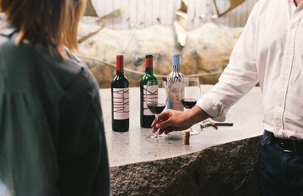 Private Colchagua VIK and Montes Wineries Experience