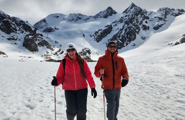 Small group Trekking to Vinciguerra Glacier and Témpanos Lagoon
