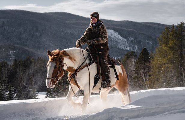 Guided Horse Riding in the Bay of Saint Paul Valley