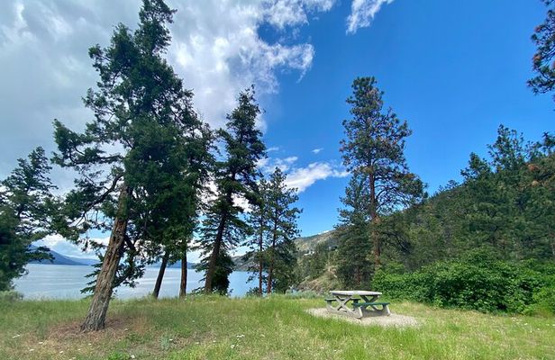 Kelowna: Guided E-Bike Tour, Picnic and Okanagan Lake Views