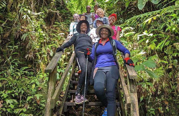 7 Hours Wildlife Discovery Tour in Dominica