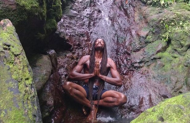 Rainforest Waterfall Hike with Rastafarian Nature Guide