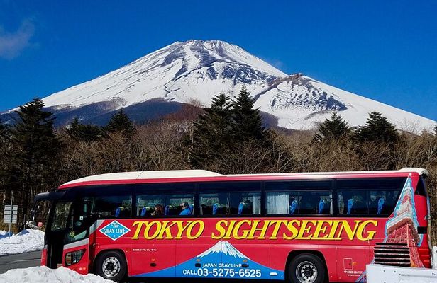 Mt. Fuji & Hakone Tour Tokyo hotel pick-up by Grayline