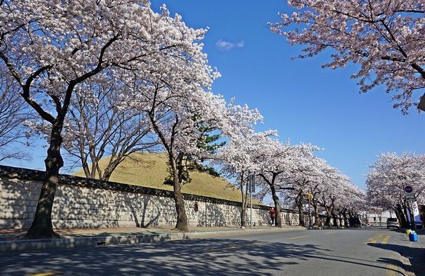 Gyeongju Best Customized Private Tour with Tourguide