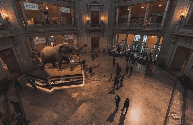 Two Smithsonian Museums Private Tour: American & Natural History