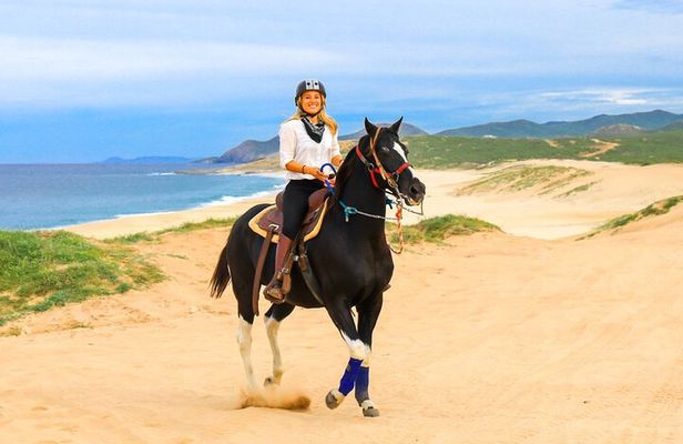 Horseback Riding Beach and Desert in Cabo by Cactus Tours Park
