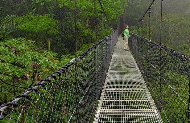 The Mistico Hanging Bridges