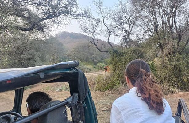 Delhi to Sariska National Park: A Thrilling Wildlife Excursion