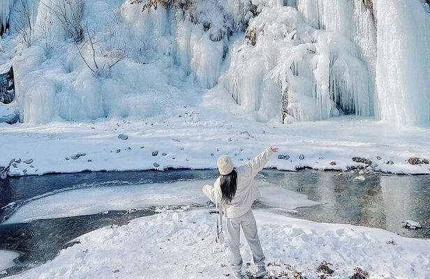 Eobi Ice Wall & Nami Island & Morning Calm Light Festival