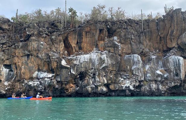 Kayaking Experience in Franklin Bay