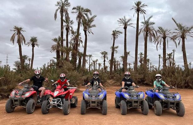 3 Hours Quad Excursion to the palm grove and Jbilat Desert