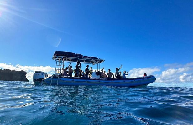 The Best 2 Hour Molokini Express Snorkeling