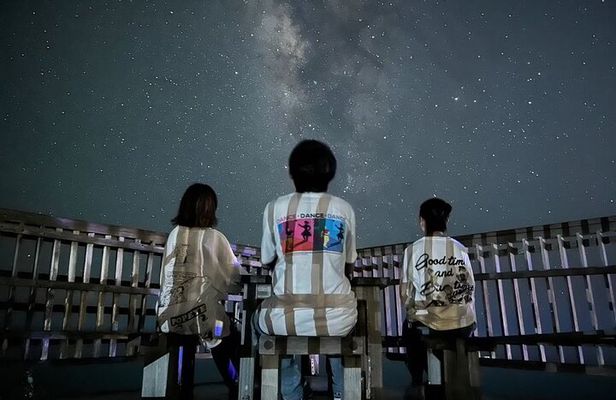 Okinawa Miyakojima Jungle Adventure Tour in a Starry Night!Stargazing & Night Animal Watching