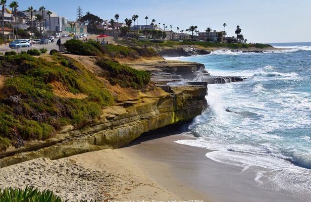 Discover San Diego's Beaches: Private Driving Tour