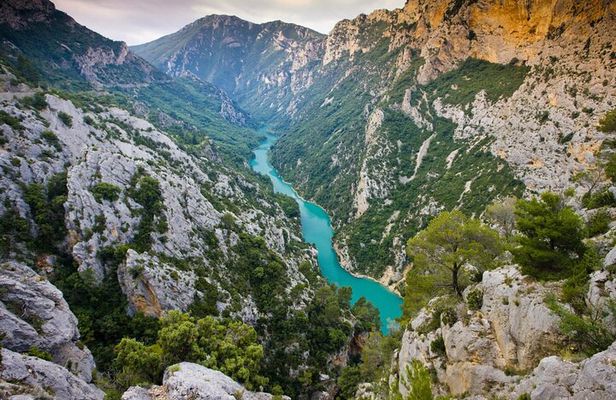 The Grand Canyon of Europe and Its Lavender Fields Small group