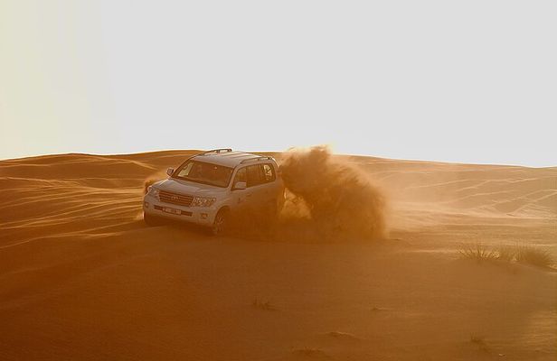 Dubai Morning Safari with Camel Ride & Dune Bashing Experience 
