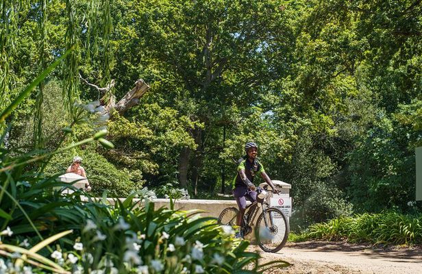 Franschhoek Half Day Winelands Mountain Bike Tour