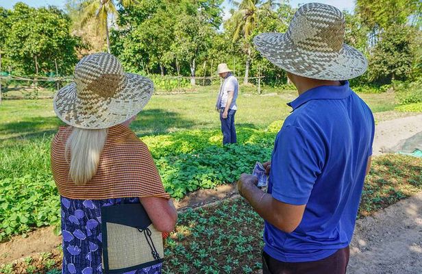Village walking and Cooking class in Siem Reap
