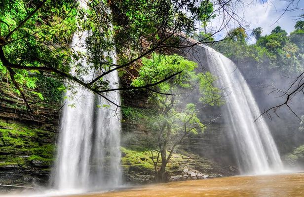 Boti Falls, Umbrella Rock, Aburi Gardens & Cocoa Farm Day Tour