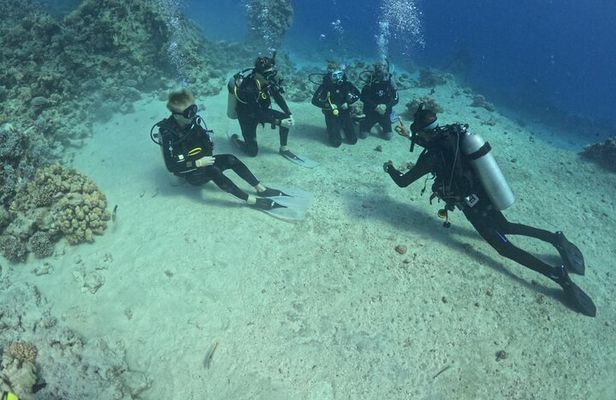 Course for Padi OW in Red Sea and Sinai