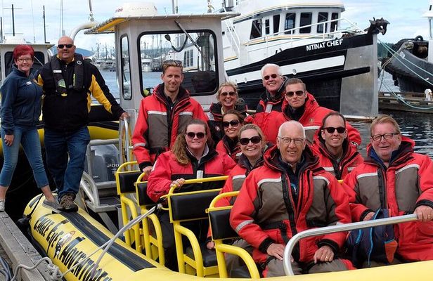 Campbell River, BC: 4 Hour Wildlife Tour Featuring Whale Watching