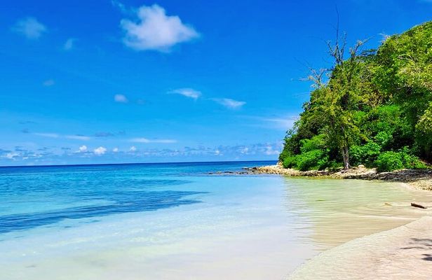 Stingray City experience, Devils Bridge and Long Bay Beach