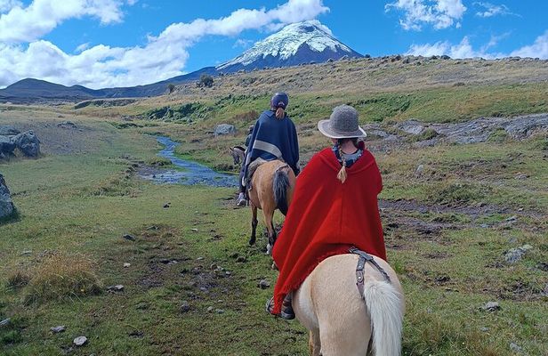 Cotopaxi volcano horseback ride and hike